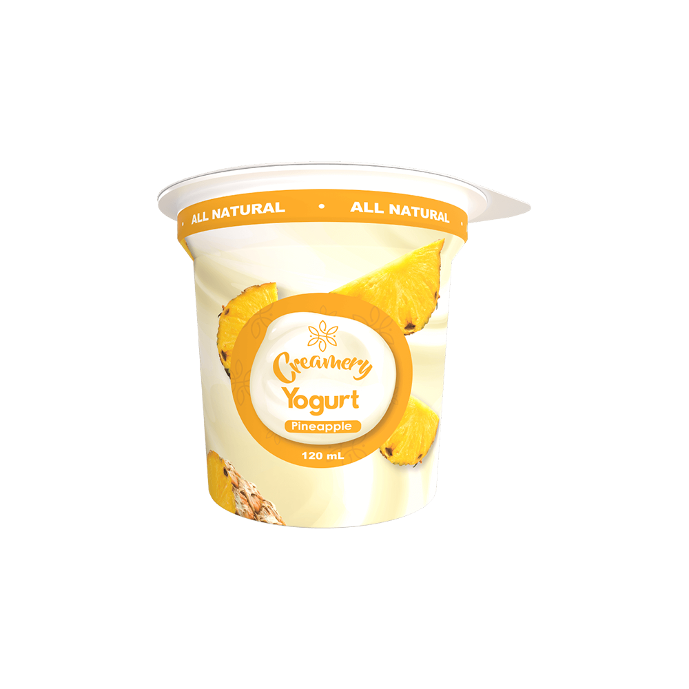 Creamery Yogurt - Pineapple - 120mL
